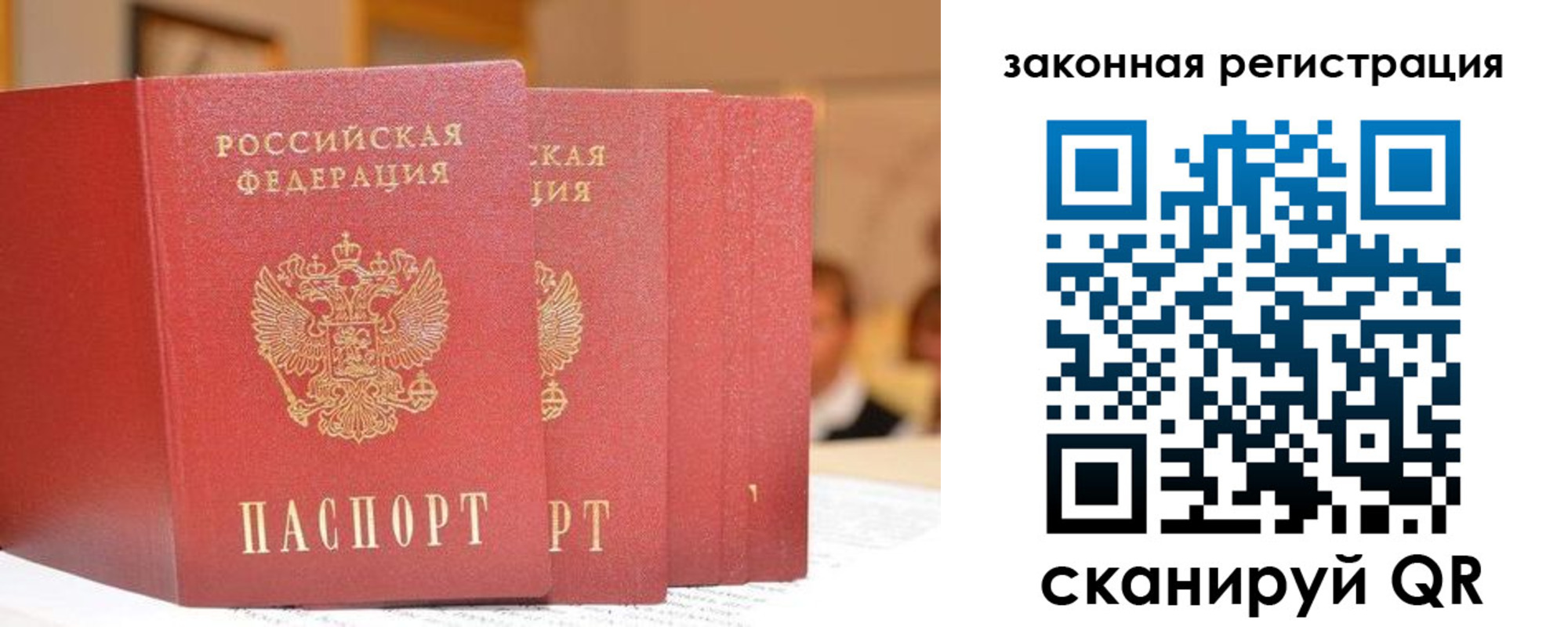 прописка поиск в Челябинской области